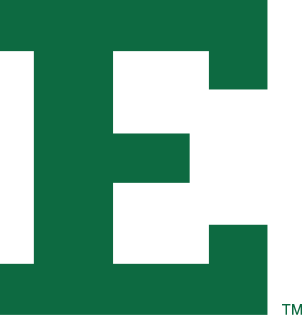 Eastern Michigan Eagles 2002 Primary Logo DIY iron on transfer (heat transfer)